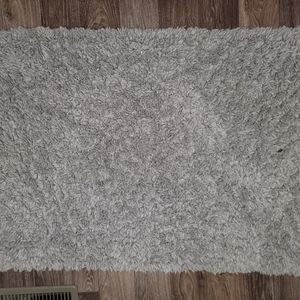 2.5x4 rug